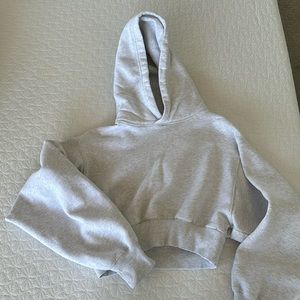 Cropped Aritzia Hoodie